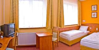 Отели типа «постель и завтрак» Hotel Omega Злоценец Двухместный номер с 2 отдельными кроватями-2